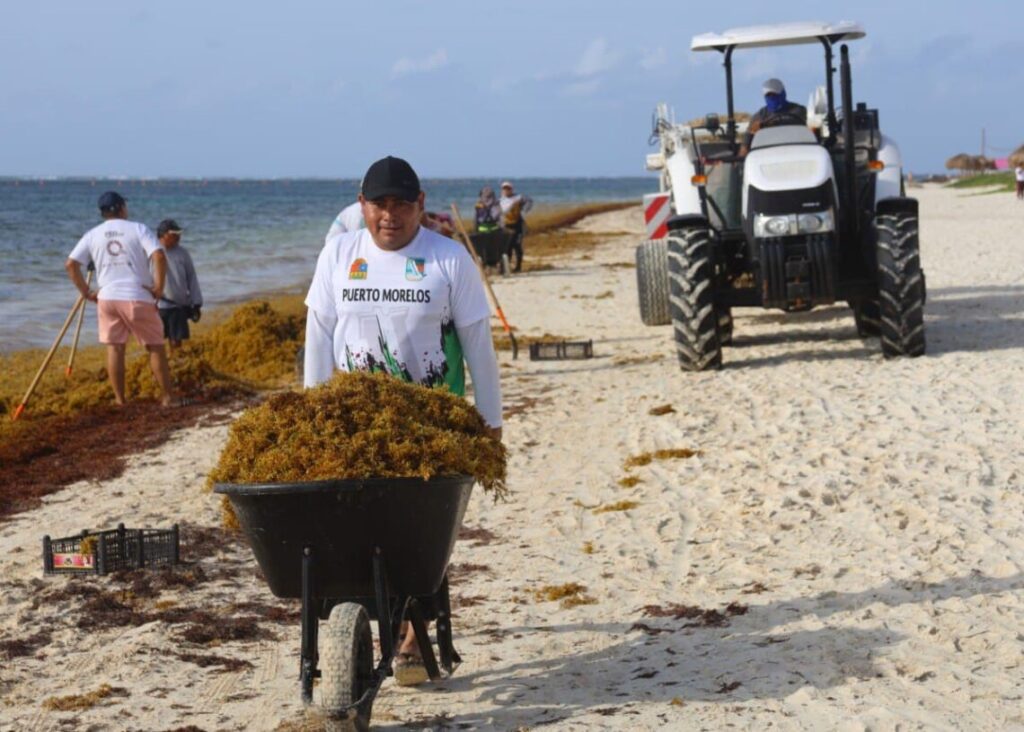PARTICIPA-PUERTO-MORELOS-EN-PRIMERA-JORNADA-ESTATAL-DE-LIMPIEZA-DE-SARGAZO-Y-MICROPLASTICOS-1-1140x815