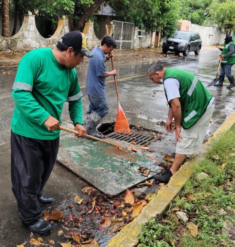 WhatsApp Image 2025-06-27 at 14.46.15 (1)