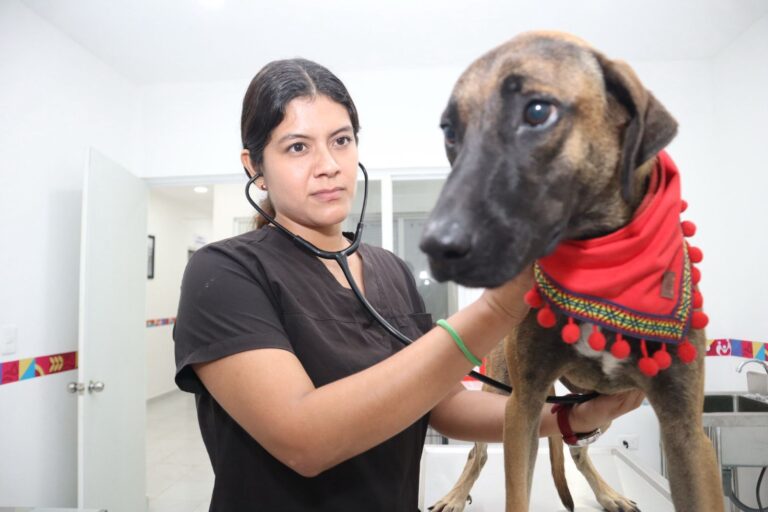 WhatsApp Image 2025-08-07 at 09.53.55