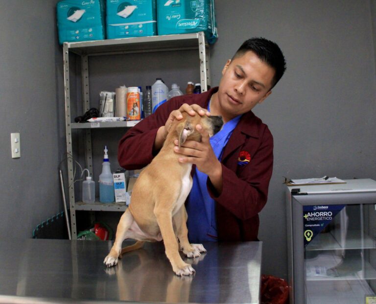 WhatsApp Image 2025-09-29 at 09.58.30 (1)