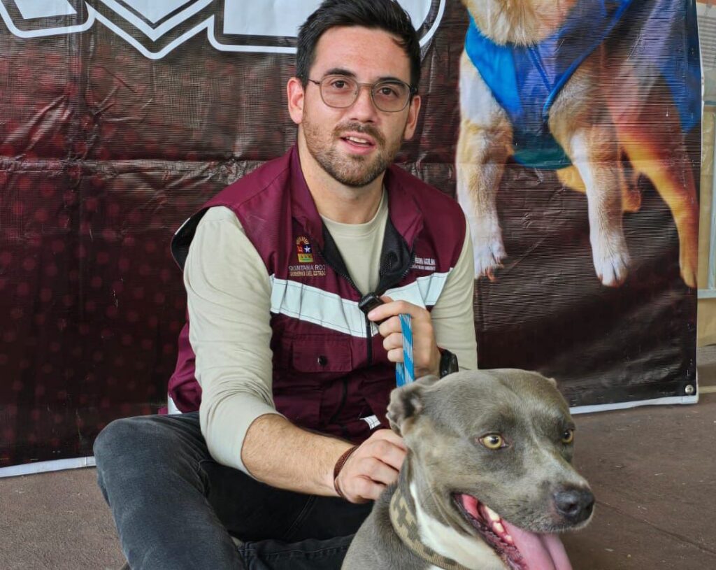 09553c8c-4ef4-4f1f-820f-6e4b06464fca