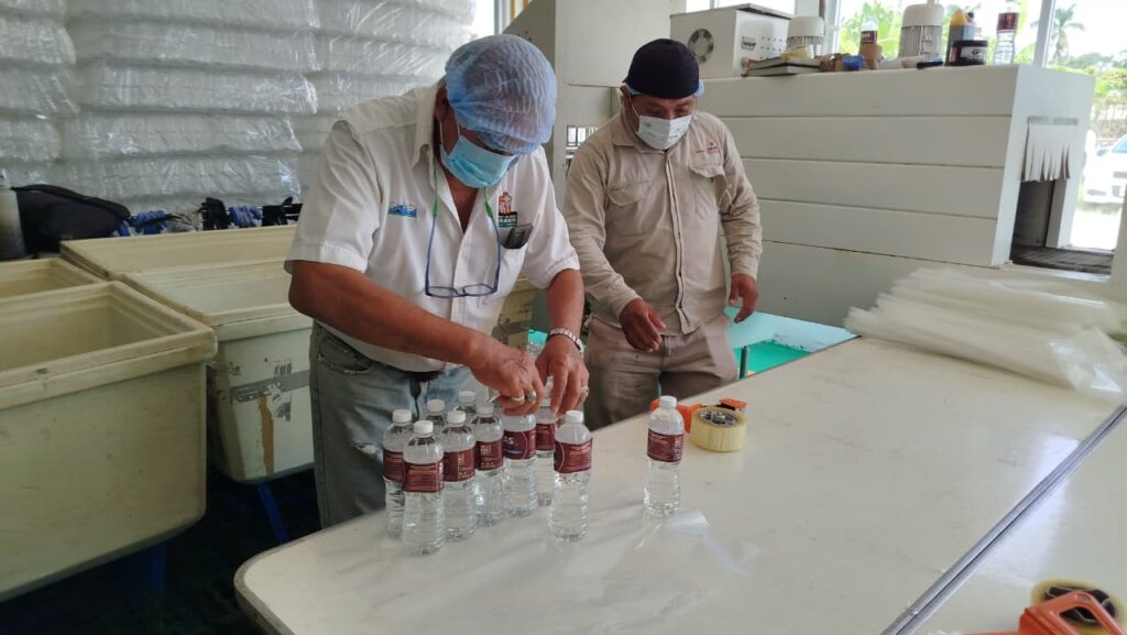 WhatsApp Image 2025-10-14 at 18.20.46