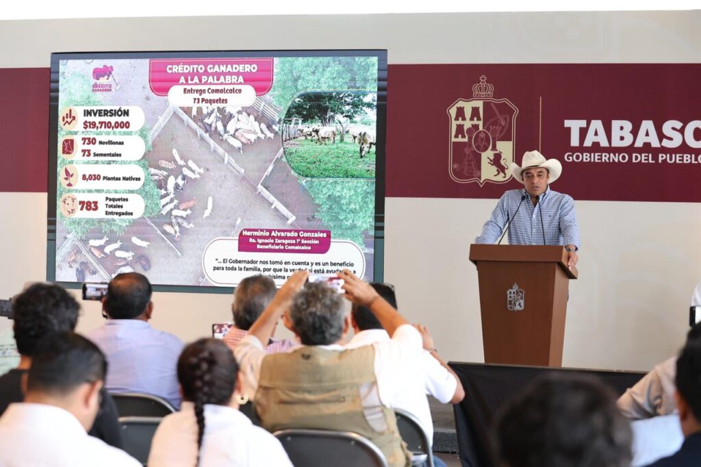 WhatsApp Image 2025-10-27 at 12.23.10