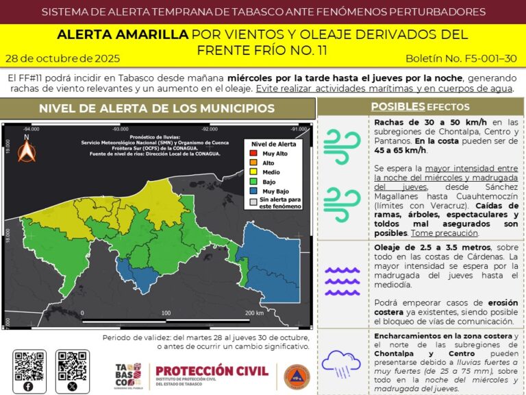 WhatsApp Image 2025-10-28 at 10.32.48