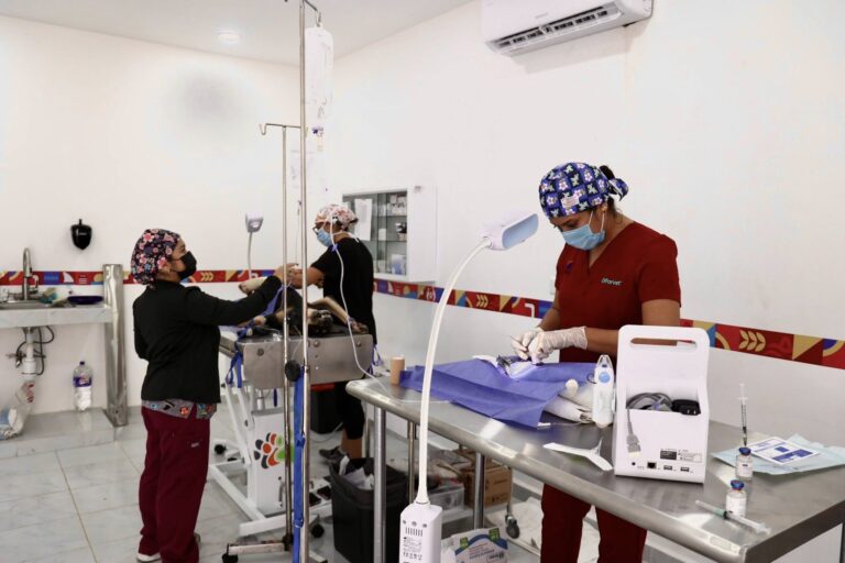 584528599_866219509253356_2685582449948599230_n