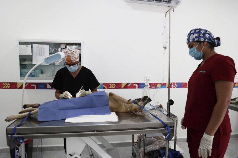 8dfaf018-47e8-4bab-a489-55c8cf90ed9a