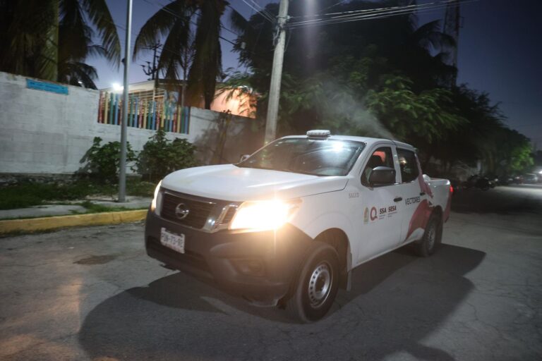 WhatsApp Image 2025-11-04 at 12.28.50