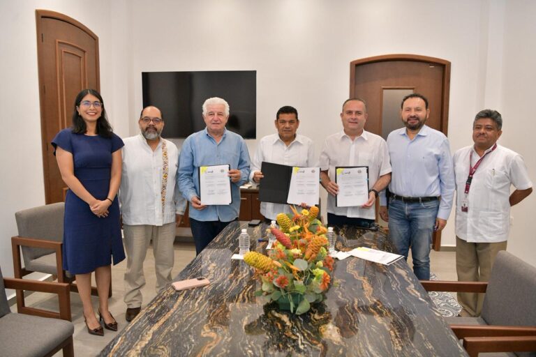 WhatsApp Image 2025-11-12 at 12.21.26