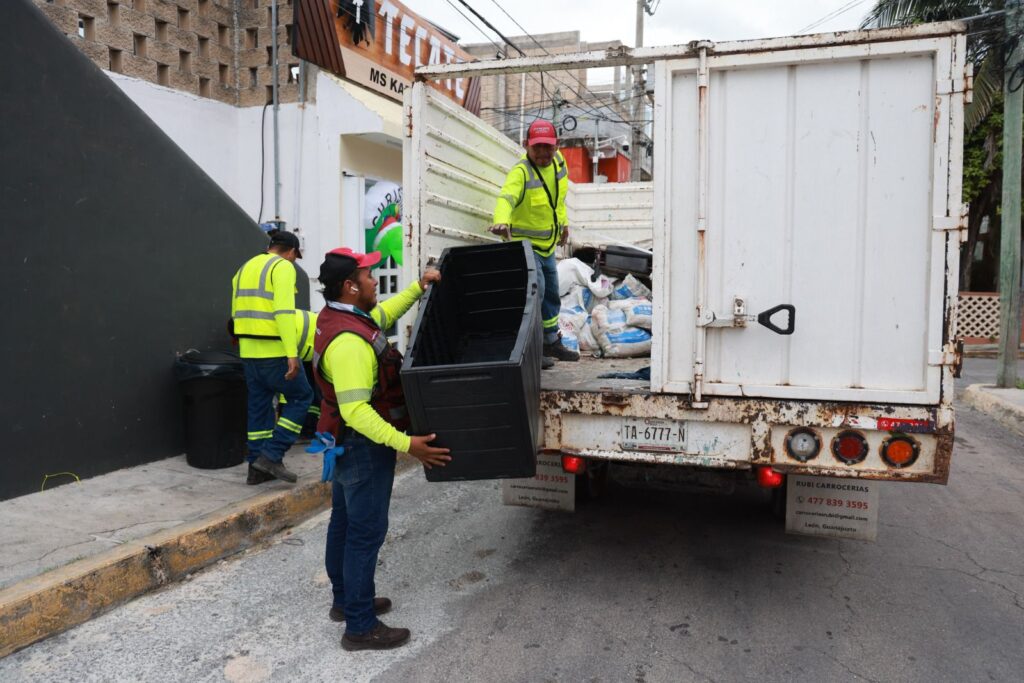 WhatsApp Image 2025-11-13 at 11.13.58