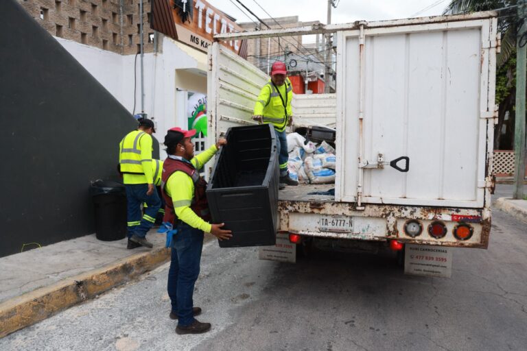 WhatsApp Image 2025-11-13 at 11.13.58