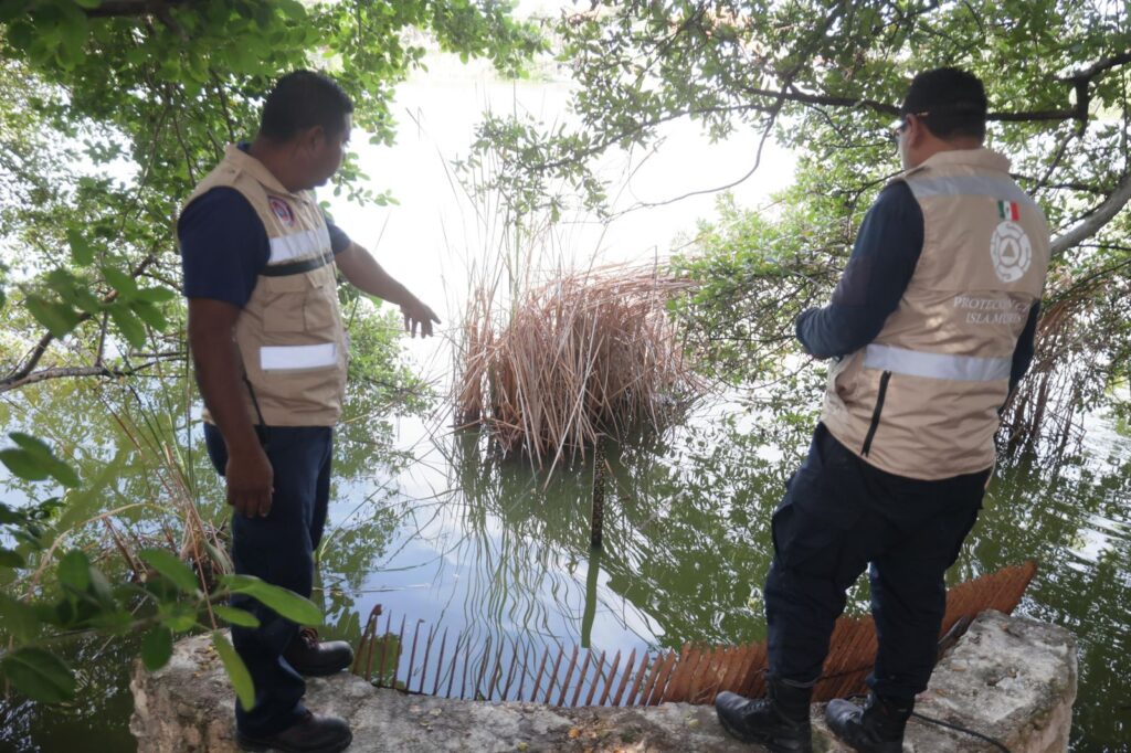 948e5152-db82-43f6-acff-df93c519414d