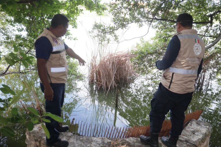 948e5152-db82-43f6-acff-df93c519414d