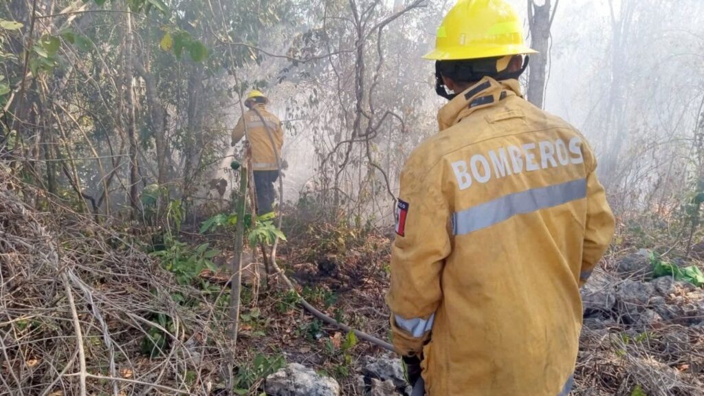 WhatsApp Image 2025-12-02 at 13.31.20