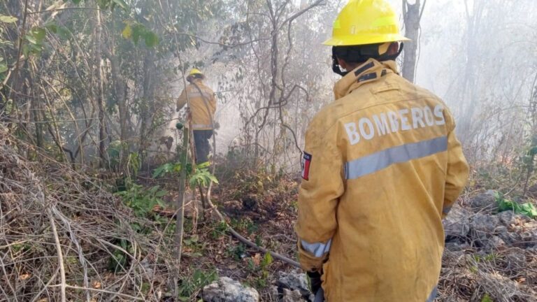 WhatsApp Image 2025-12-02 at 13.31.20