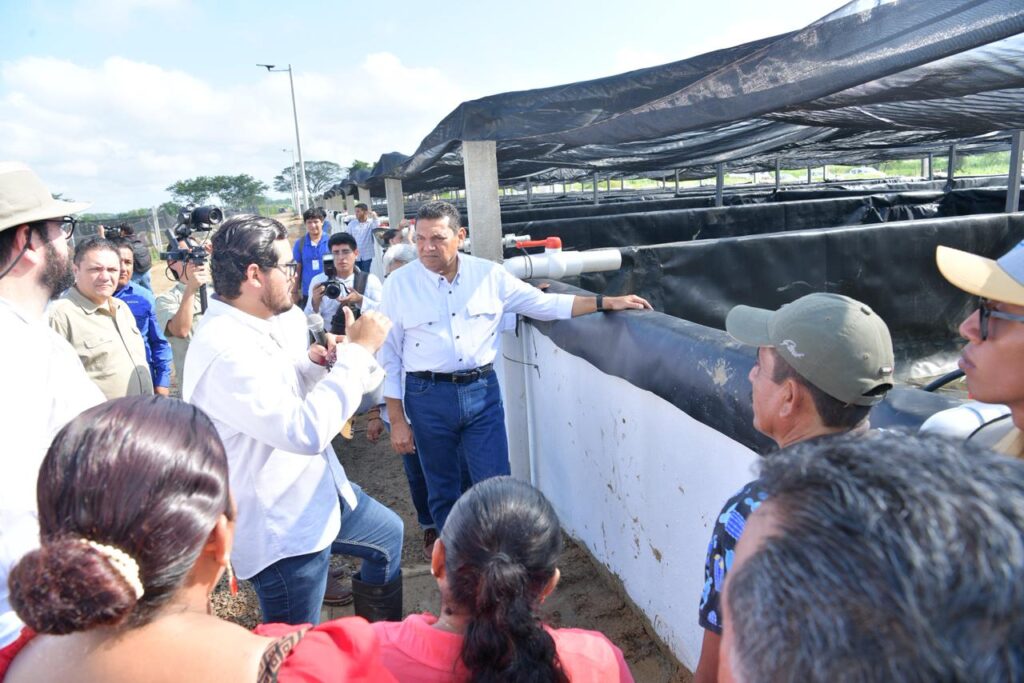 WhatsApp Image 2025-12-02 at 13.41.31 (1)