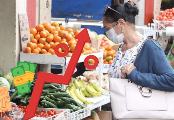 El Quintana Roo (17)