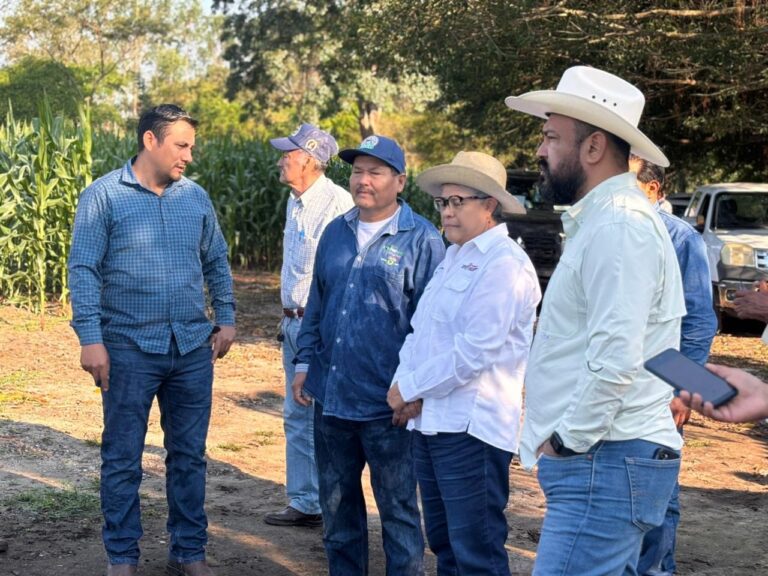 WhatsApp Image 2026-02-12 at 11.18.41