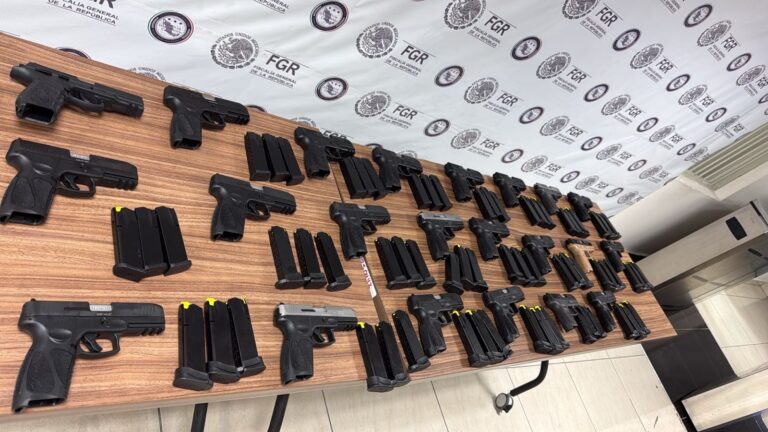 WhatsApp Image 2026-02-18 at 13.13.11