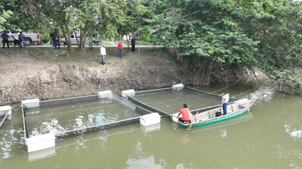 WhatsApp Image 2026-02-20 at 11.20.57 AM