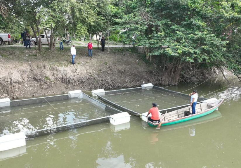 WhatsApp Image 2026-02-20 at 11.20.57 AM