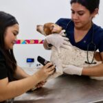 253cdd8f-ade8-4deb-bb0a-f2e5df336e22