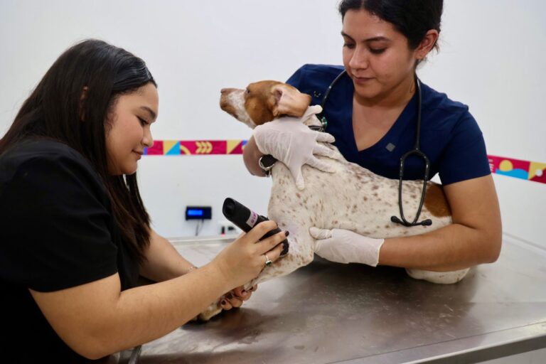 253cdd8f-ade8-4deb-bb0a-f2e5df336e22