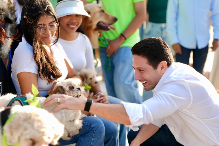 285fe9d9-6474-4c76-ba15-7ac81a9eeeee