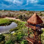 6af93e96-f448-4e2c-88b6-3af668e8f7b8