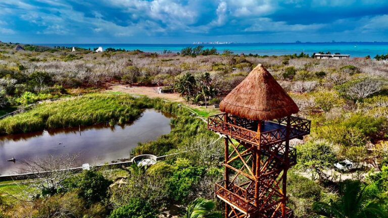 6af93e96-f448-4e2c-88b6-3af668e8f7b8