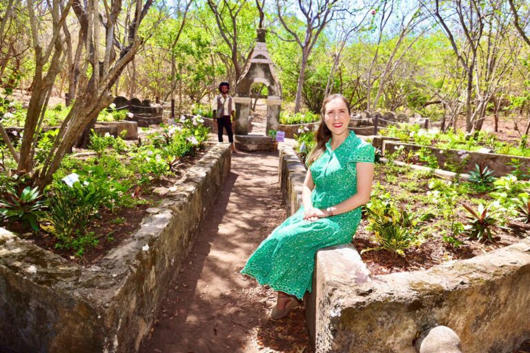 870a3d22-9833-4e12-b79e-f15ab39183f2