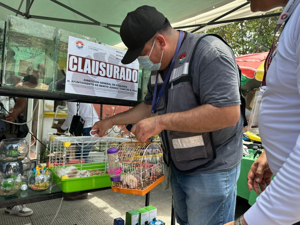 ad2258f8-1cd0-47ac-a97d-720c5da7b064