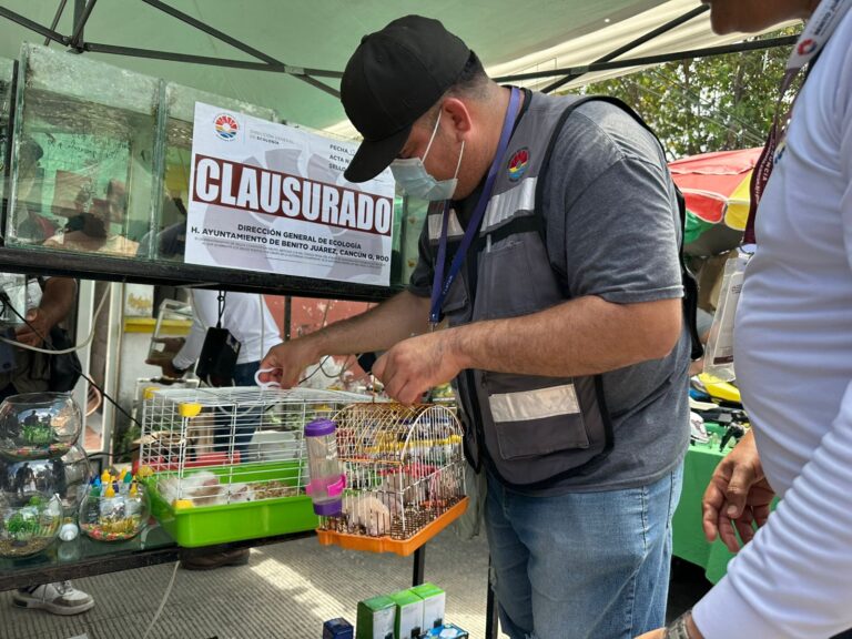 ad2258f8-1cd0-47ac-a97d-720c5da7b064