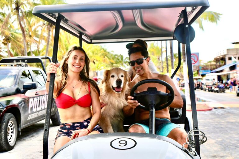 ebd6f9db-8d5e-417b-a1c0-9292bfc46c96