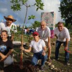 ff191201-338a-4dd0-8651-ad8180ea6513